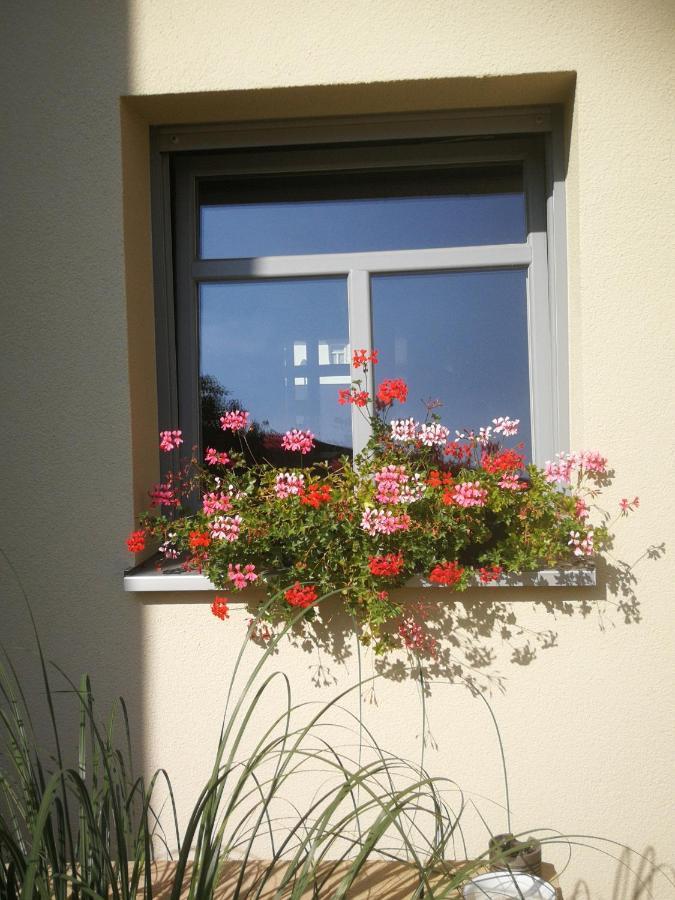 Appartementhaus Nienburg Buitenkant foto